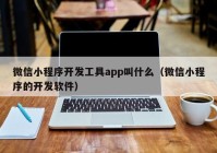 微信小程序开发工具app叫什么（微信小程序的开发软件）