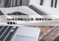 seo优化搜盈seo公司（搜索优化seo哪里有）