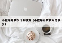 小程序开发按什么收费（小程序开发费用是多少）