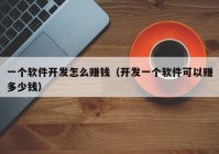 一个软件开发怎么赚钱（开发一个软件可以赚多少钱）