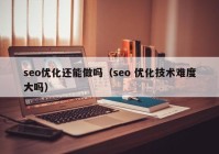 seo优化还能做吗（seo 优化技术难度大吗）