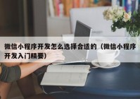 微信小程序开发怎么选择合适的（微信小程序开发入门精要）