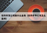 软件开发公司做什么业务（软件开发公司怎么盈利）