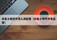 抖音小程序开发人员配置（抖音小程序开发运营）