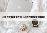 小程序开发详细介绍（小程序开发实例教程）