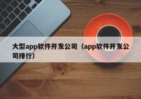 大型app软件开发公司（app软件开发公司排行）