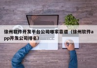 徐州软件开发平台公司哪家靠谱（徐州软件app开发公司排名）